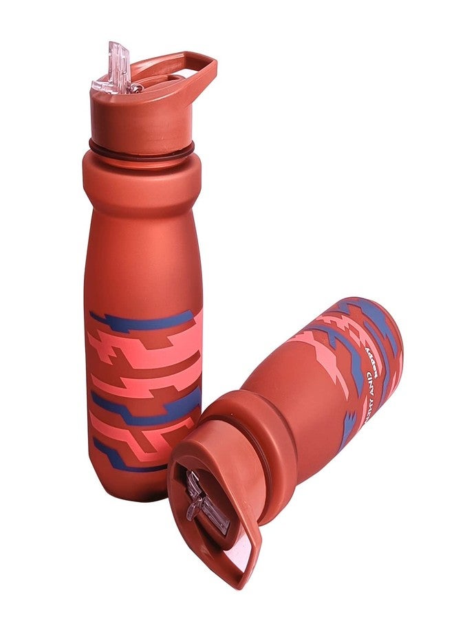 REMANG 1Pcs Sports Water Bottles with Straw and Carry Handle Fitness 800ml Sipper Bottle for Outdoor Travel (Multicolor) - Image 4